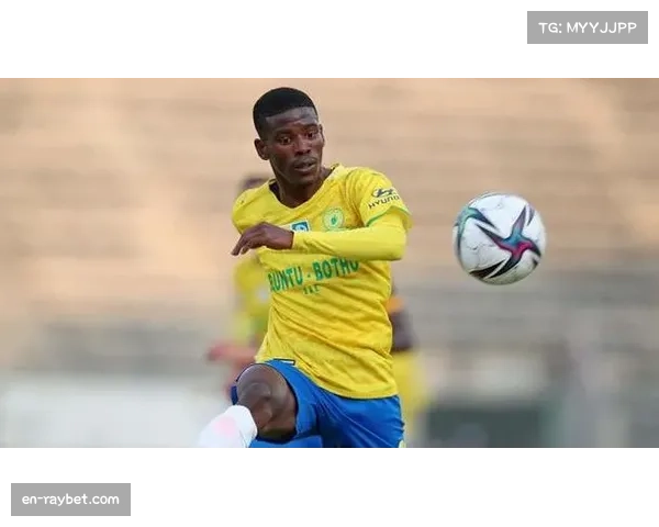 南非足球重回世界舞台 期待突破历史成绩